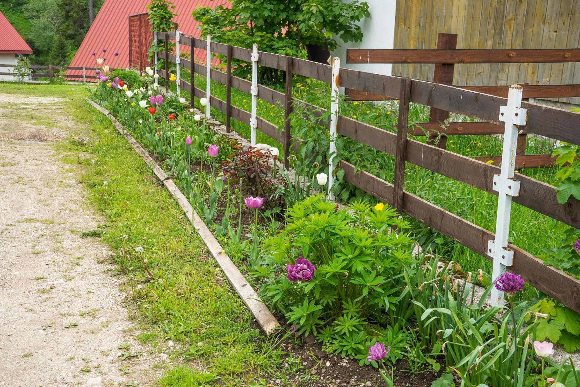 Apartment M Zabljak  Luaran gambar